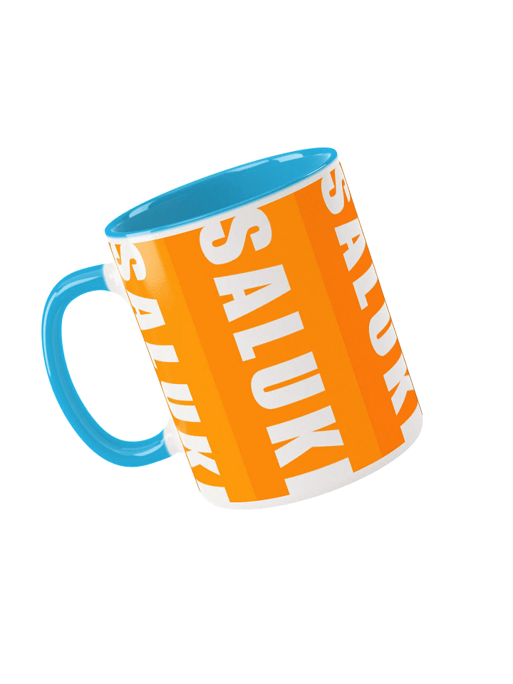 Saluki Orange & Blue 11oz Mug For Saluki Lovers product image (1)