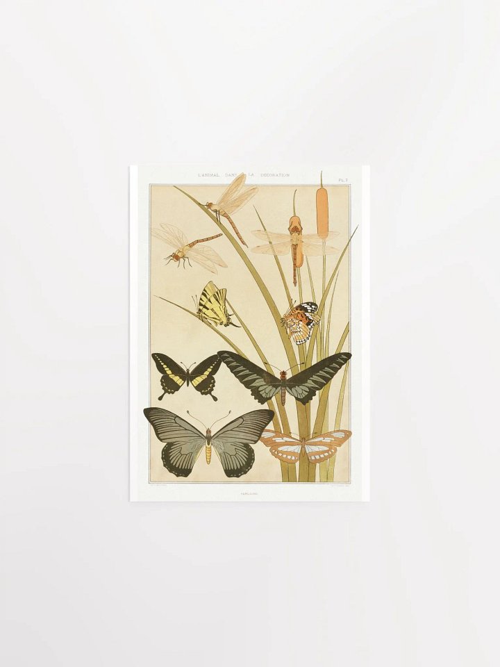 Butterflies - Papillons product image (2)