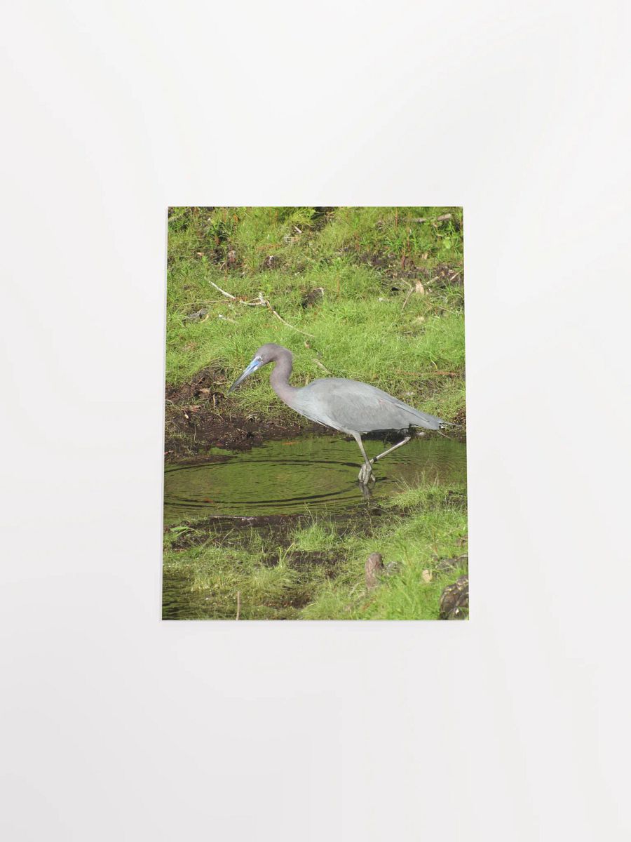 Heron 2 product image (48)