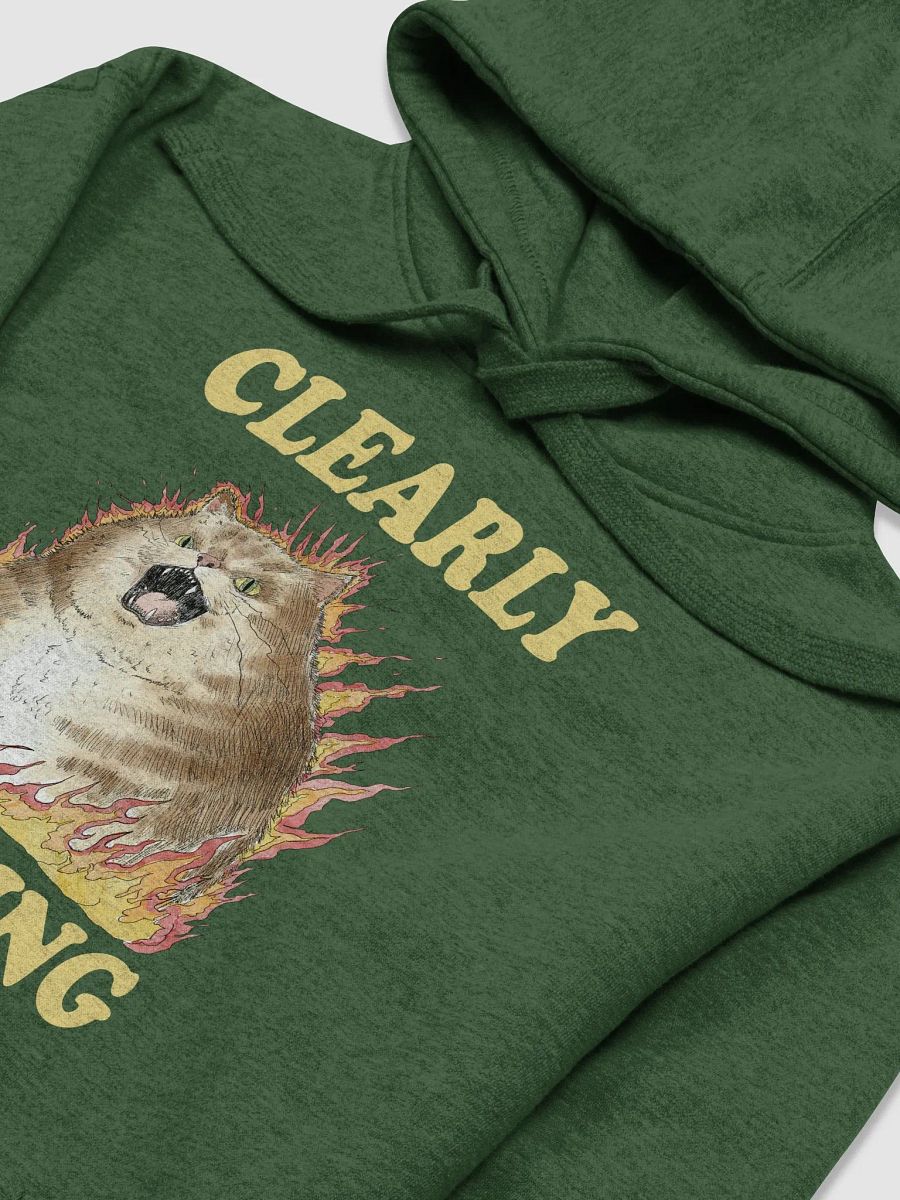 Clearly Thriving Hoodie (BB x CH) product image (2)