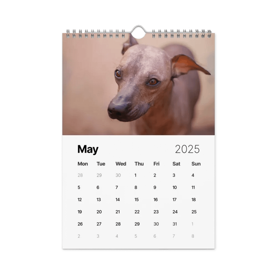 The first year - 2025 Calendar product image (6)