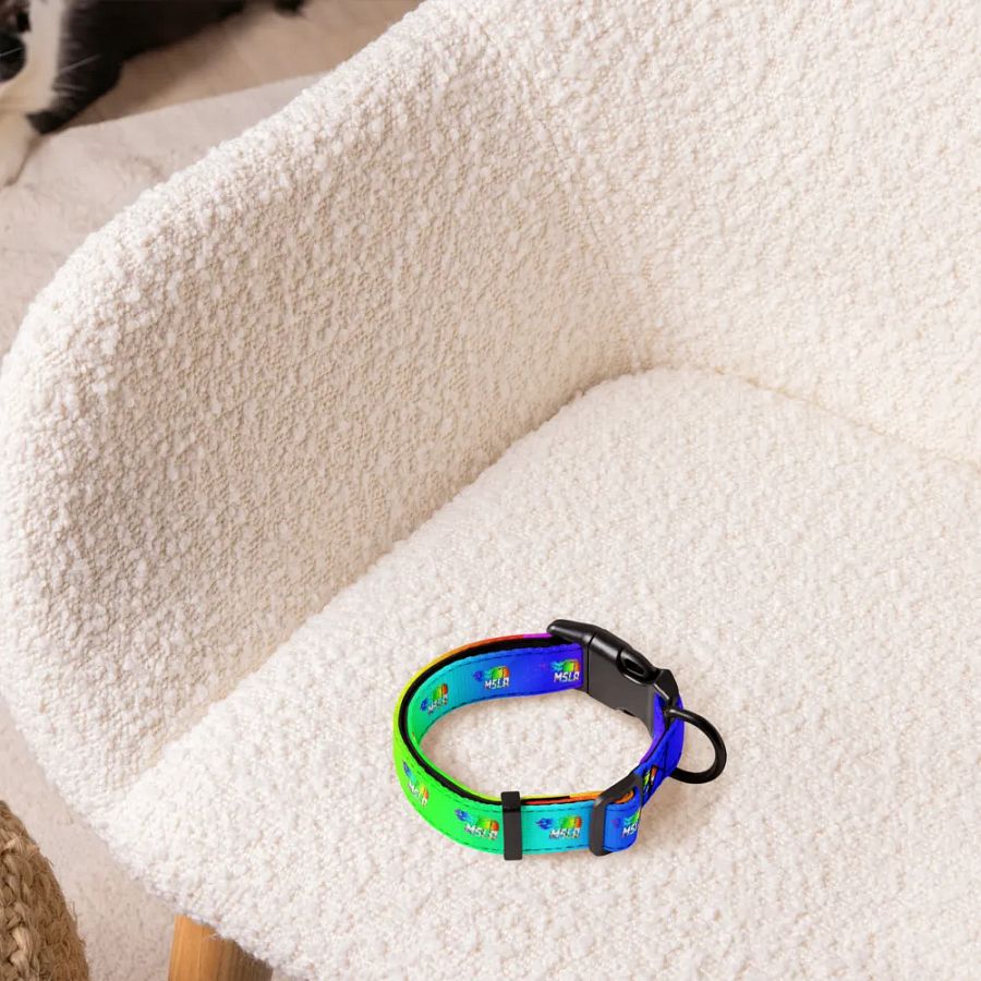 MSLA Pride - Dog Collar product image (4)