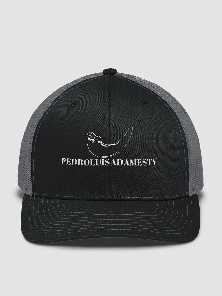 trucker Dad Hat Pedroluisadamestv product image (1)