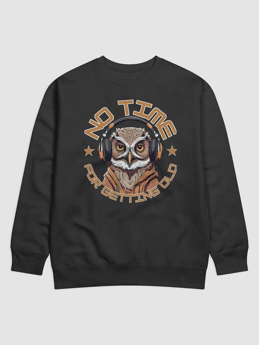 No Time For Getting Old Owl Wearing Headphones Sweatshirt product image (1)