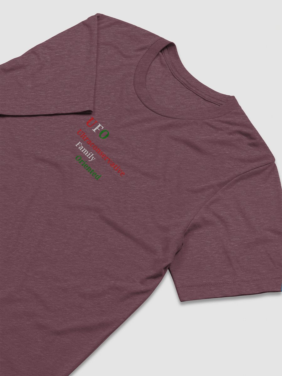 UFO Ultraconservative Family Oriented Tee product image (6)
