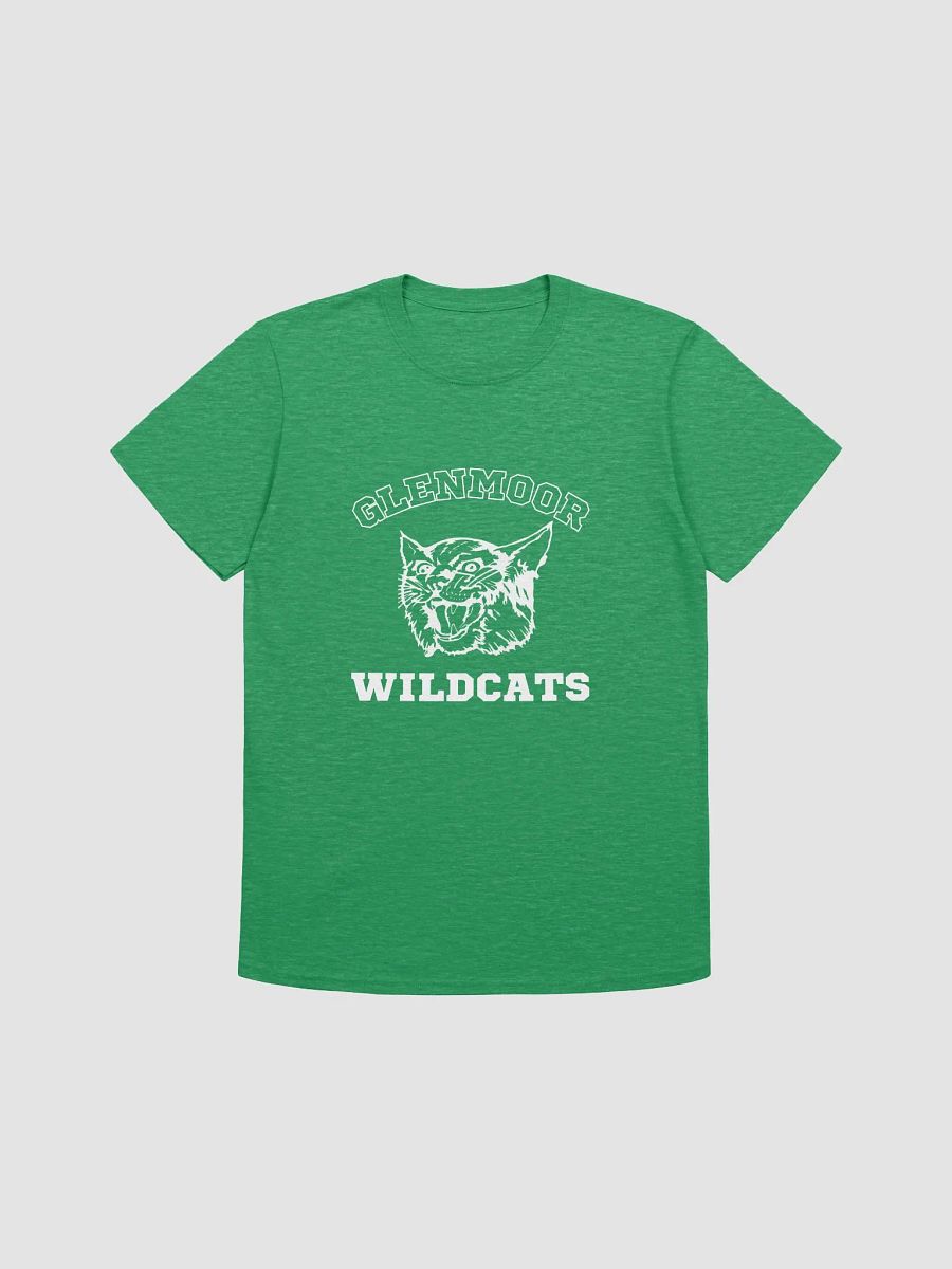 Kelly Green | Adult Gildan Unisex Softstyle T-Shirt product image (1)