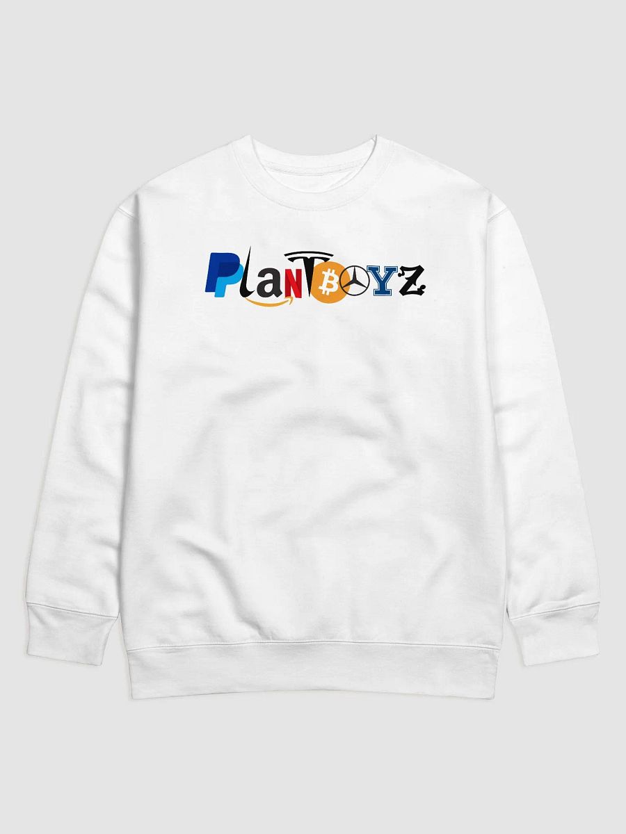 Capitalism Sweatshirt! product image (1)