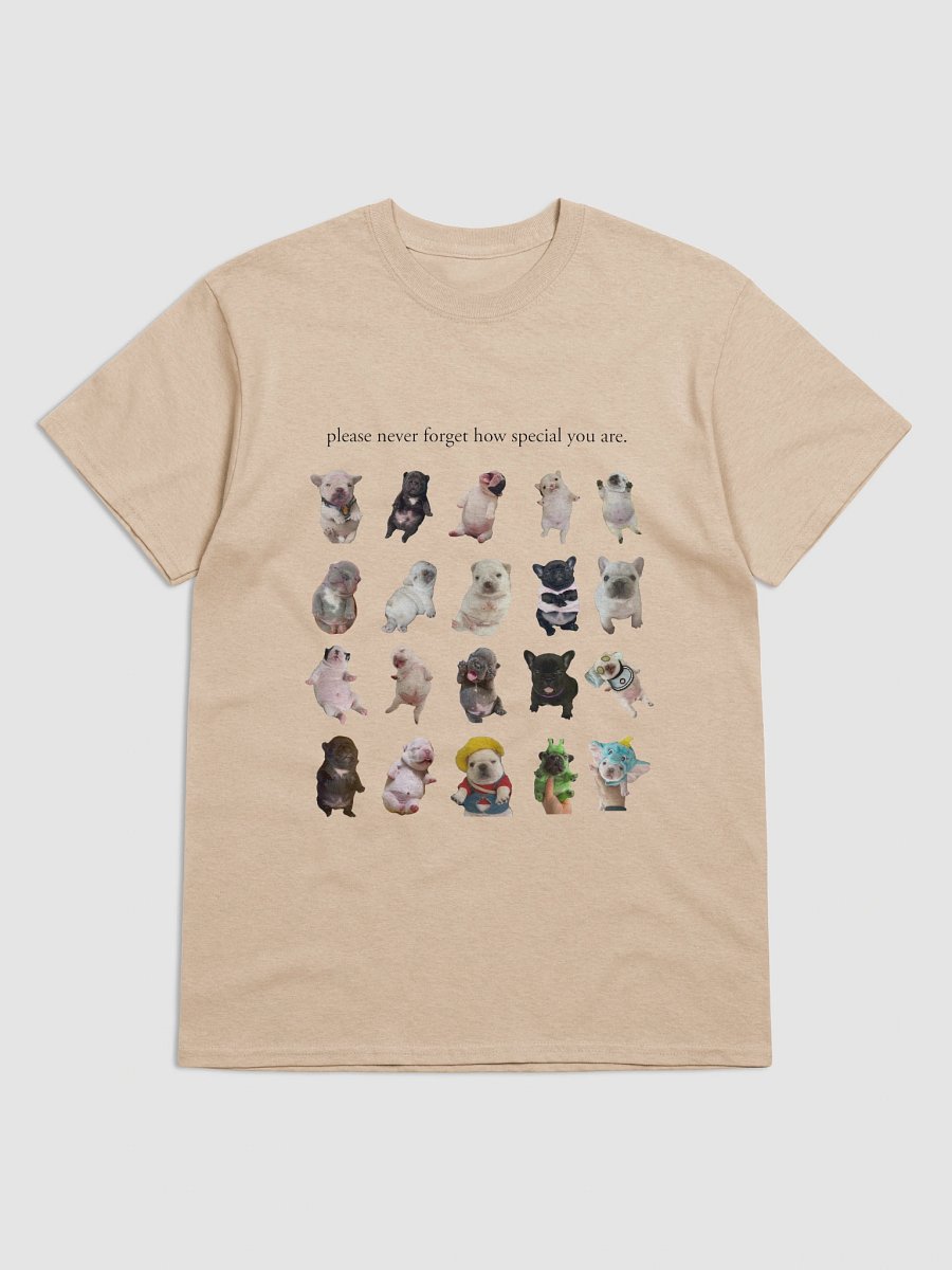 you are so special tee shirt (and backside) - light colors product image (5)