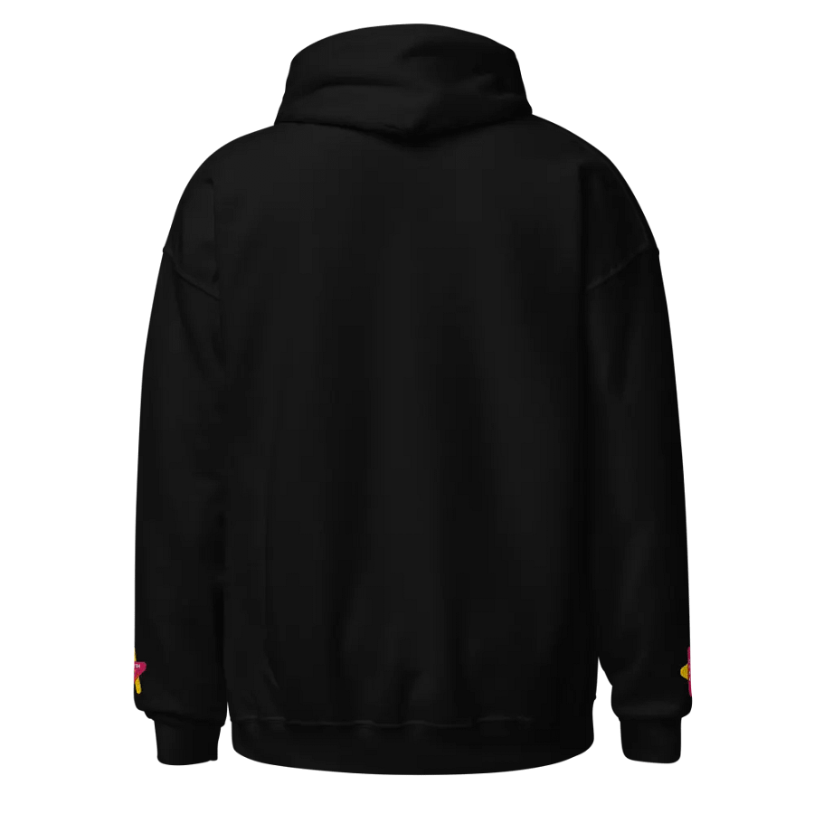 DAGWorks-Hamilton-Burr Hoodie product image (2)