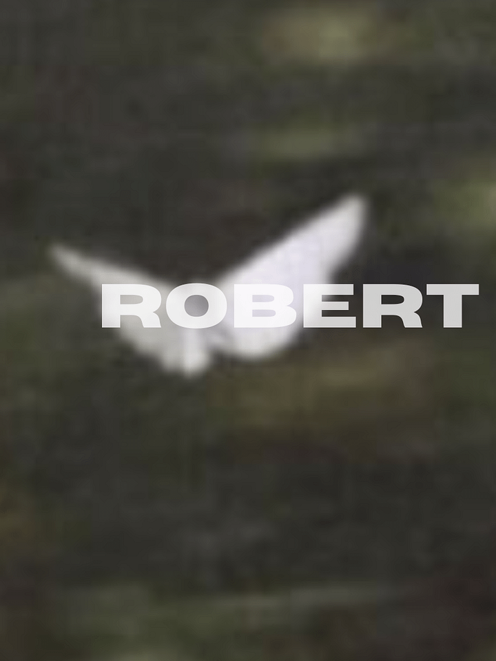 Fly Like Marty NFT product image (1)