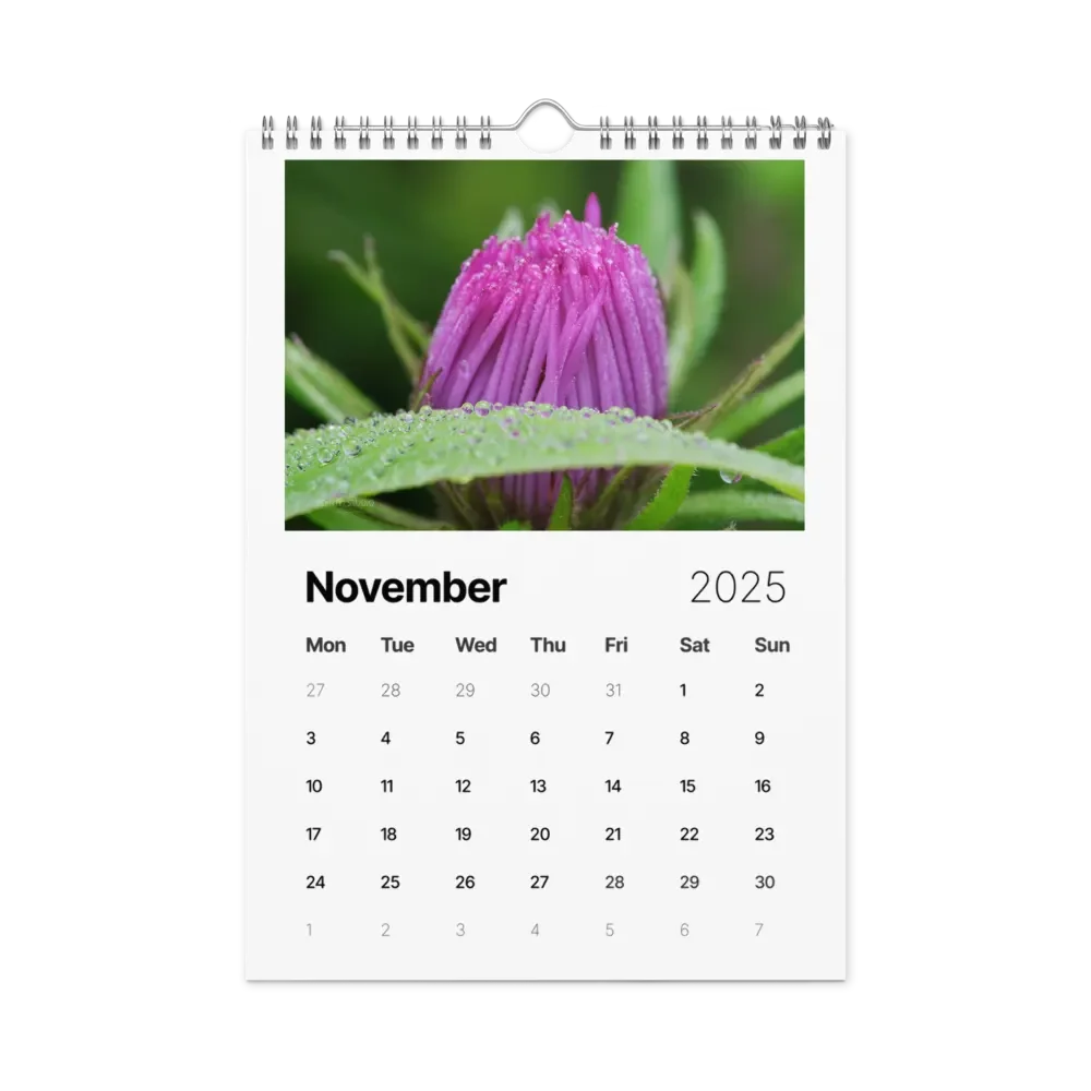 Pure Colors 2025 Wall Calendar product image (12)