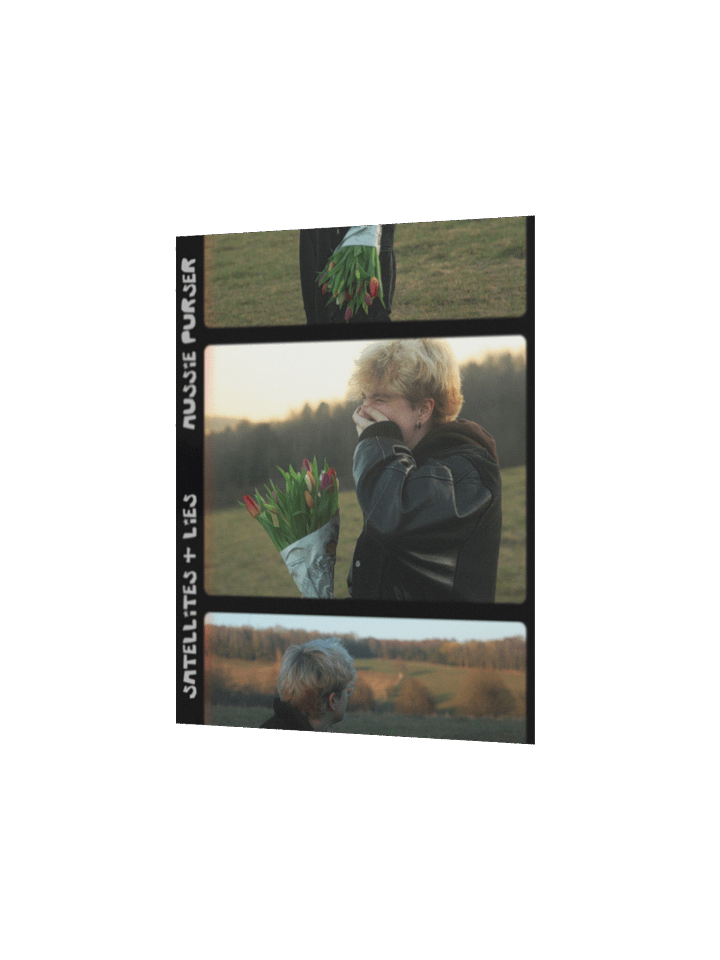 "Satellites & Lies" Poster product image (2)