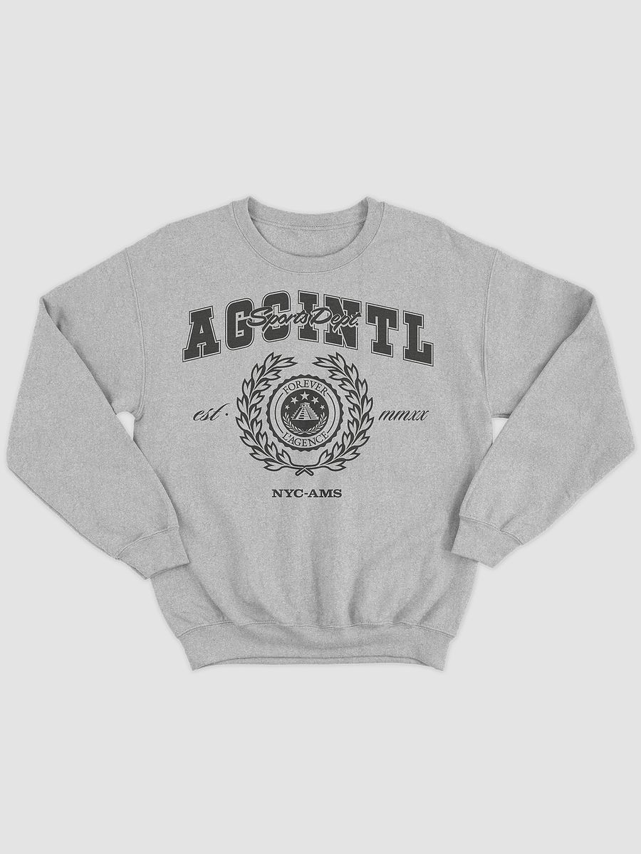 AGC Athletics Sports Crewneck in Grey product image (1)