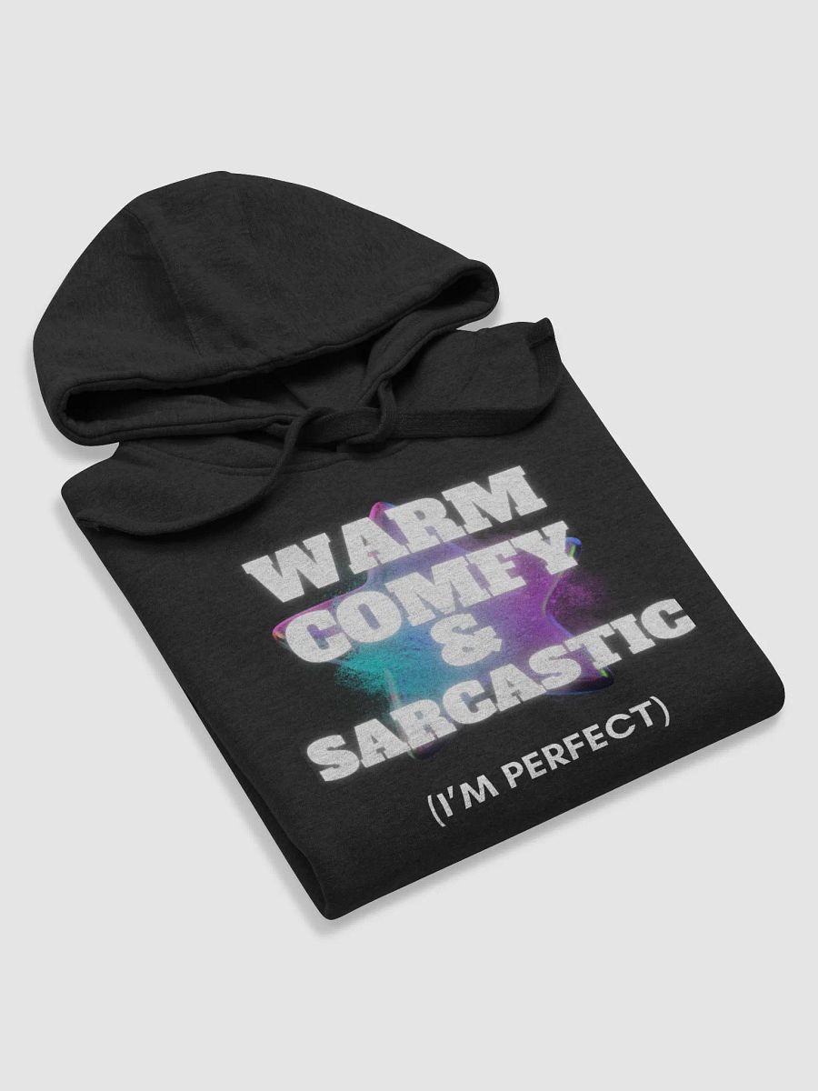 Warm-Comfy-Sarcastic Hoodie product image (5)