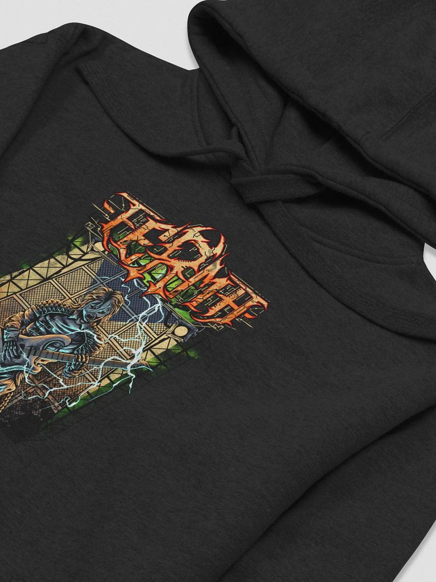 F.E.R.M.A. Hoodie (Wall of Amplifiers) product image (3)