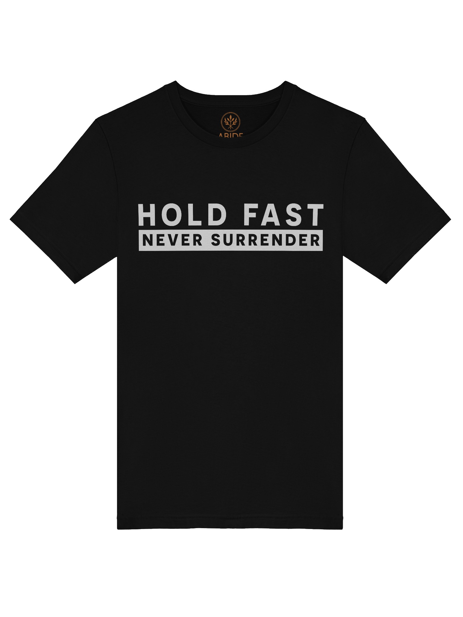 Hold Fast — Never Surrender product image (5)