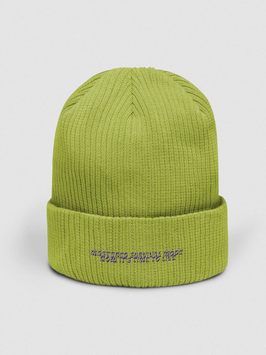 Survival Mode OFF : Knit Beanie product image (7)