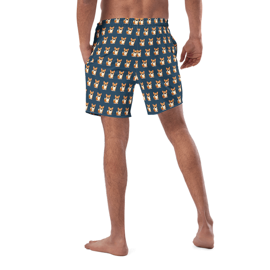 Torgi Swim Trunk Blue product image (5)