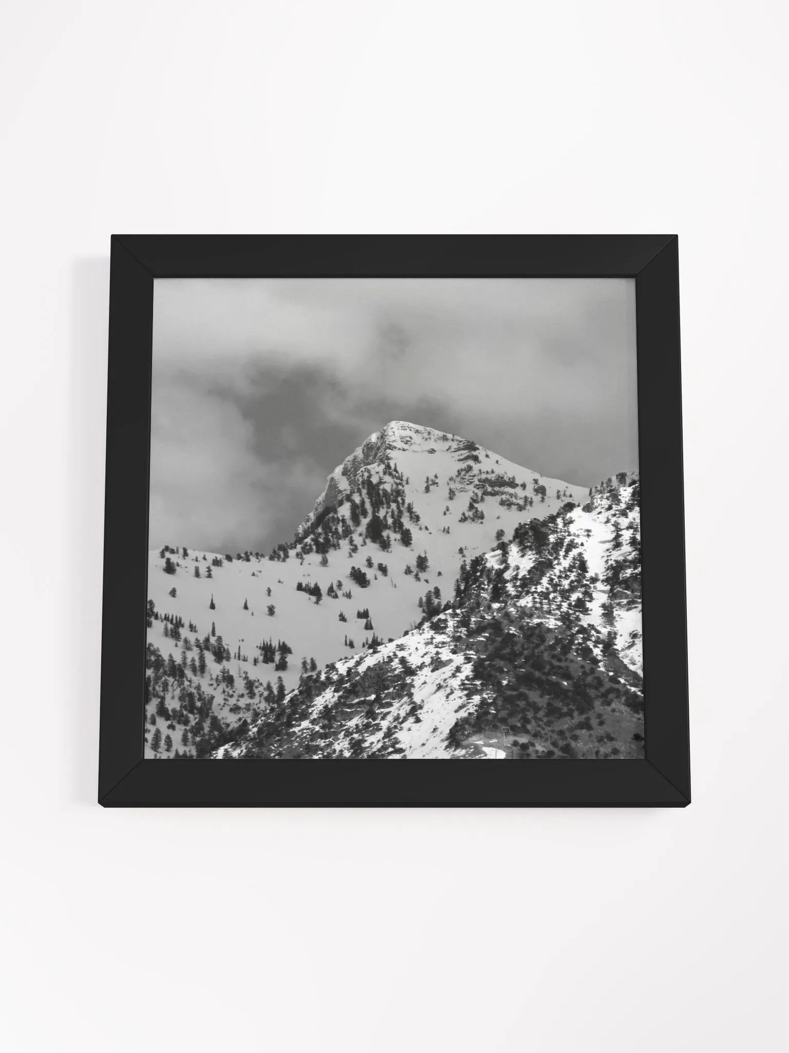 Black & White Framed High-Quality Matte Poster - Cherry Peak product image (4)