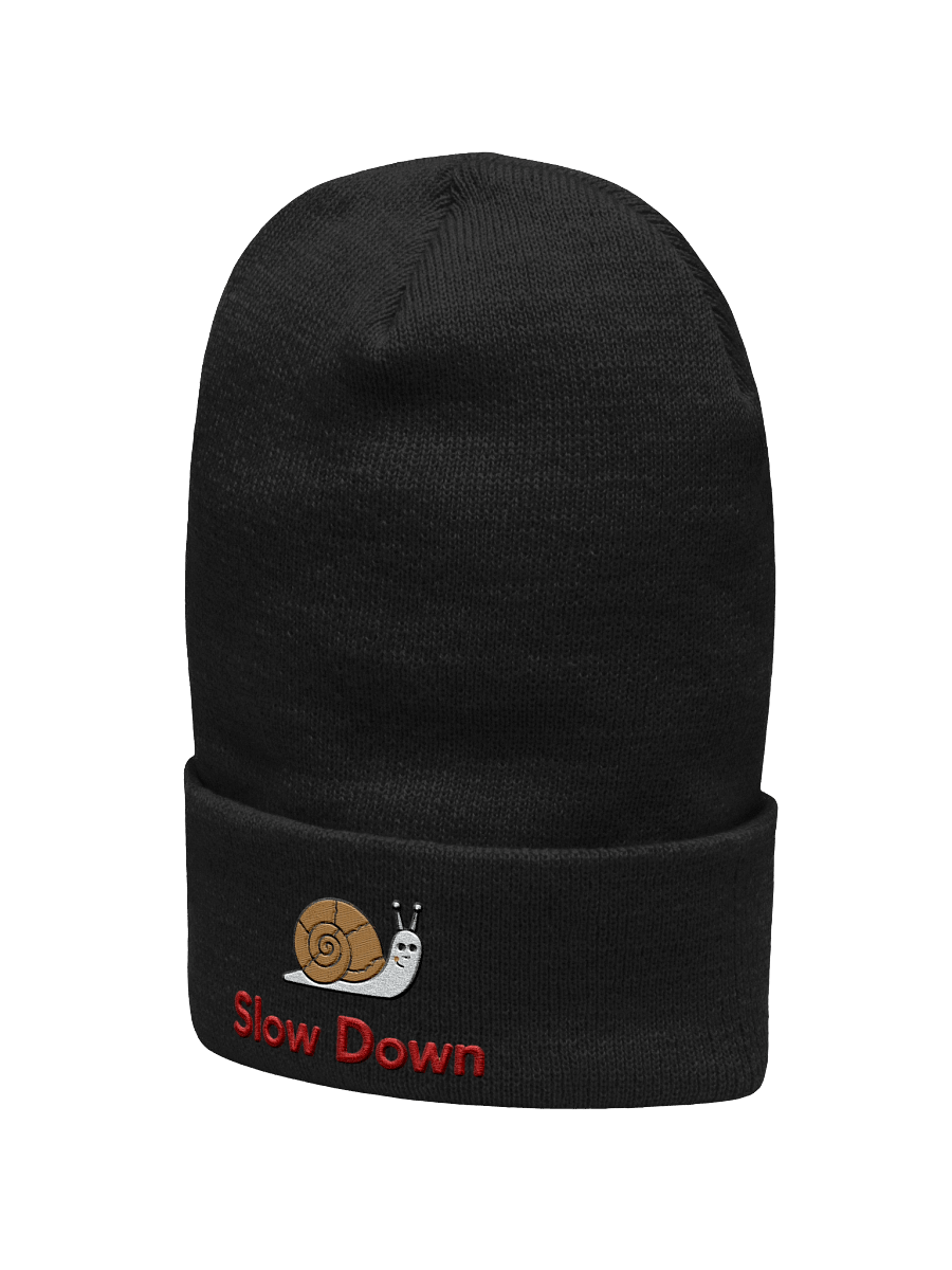 Slow Down Snail Beanie – Cute Embroidered Hat with Snail Design product image (2)