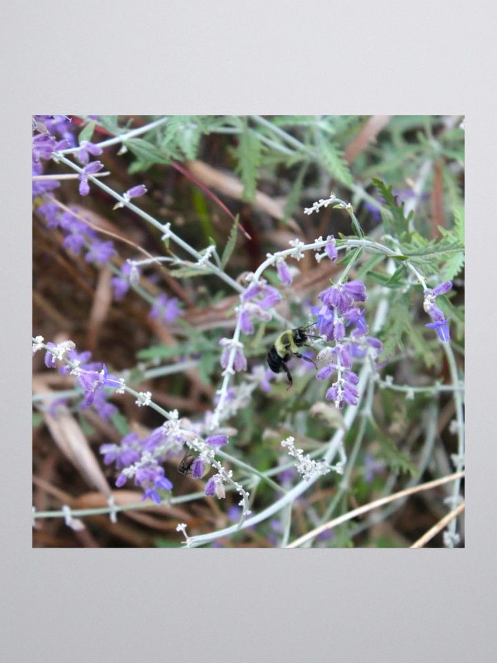 A Study in Flowers 12 - sticker version product image (4)