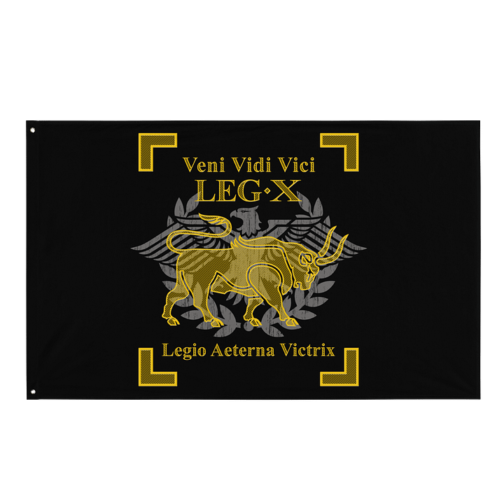 Legion X - veni vidi vici - Flag product image (1)