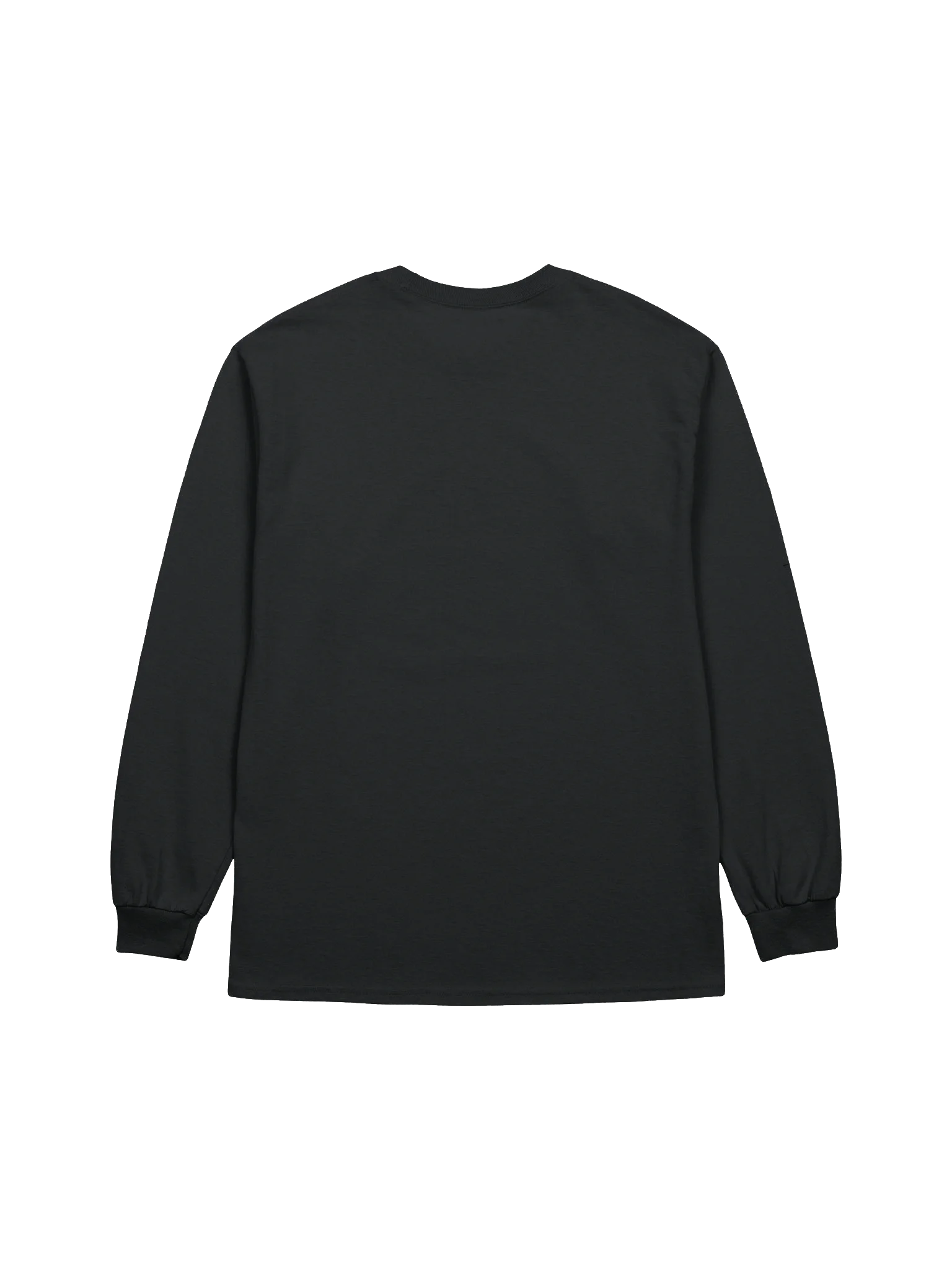 True Sanctuary Longsleeve product image (2)