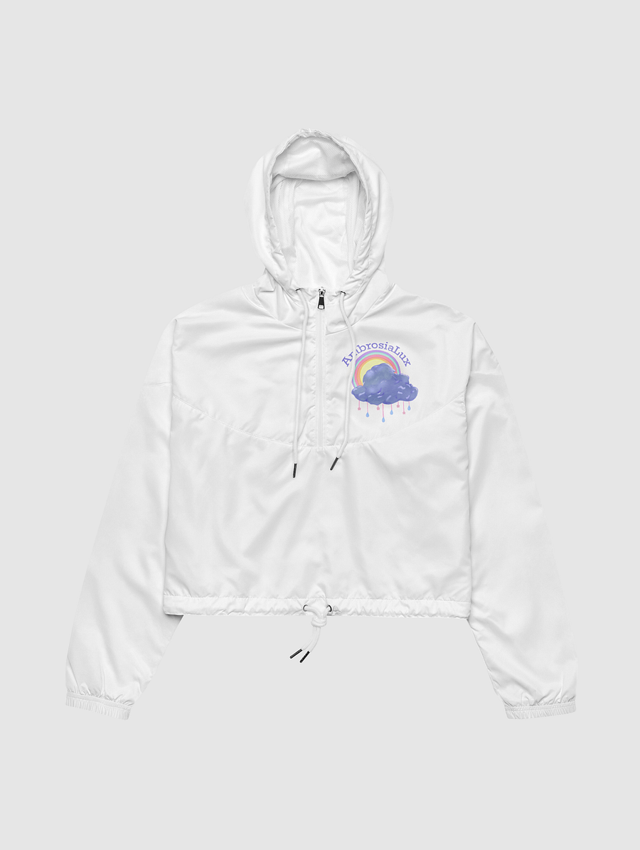 Rainy Day Cloud Cropped Windbreaker product image (3)