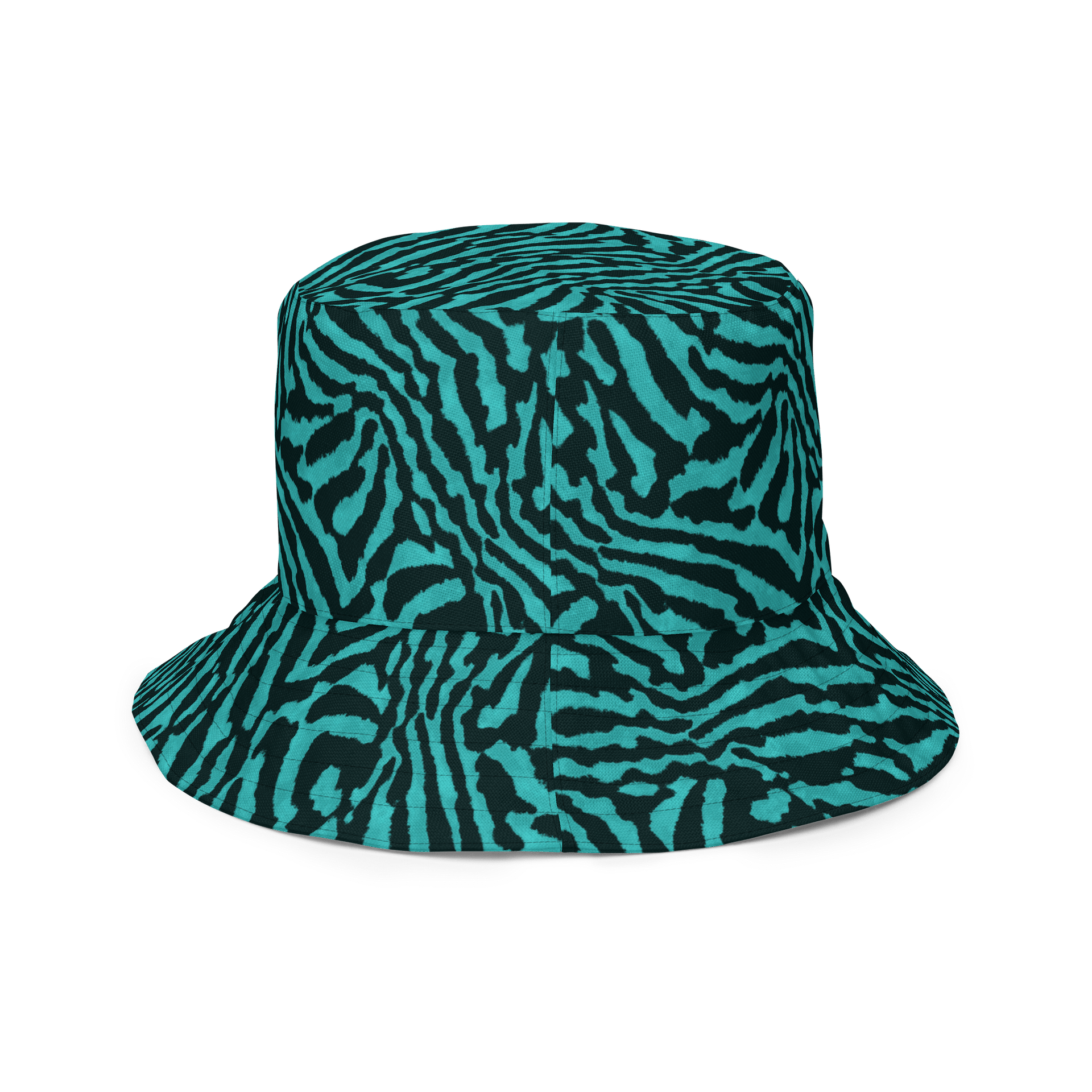 Teal Zebra Hat product image (4)