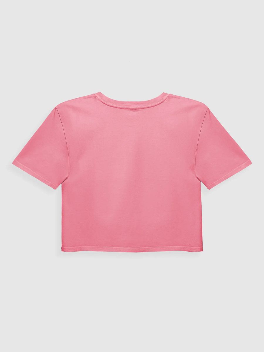 SCRIPTS Over Feelings Crop Tee product image (12)