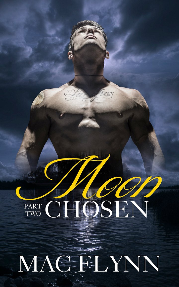 Moon Chosen #2 (BBW Werewolf Shifter Romance) product image (1)