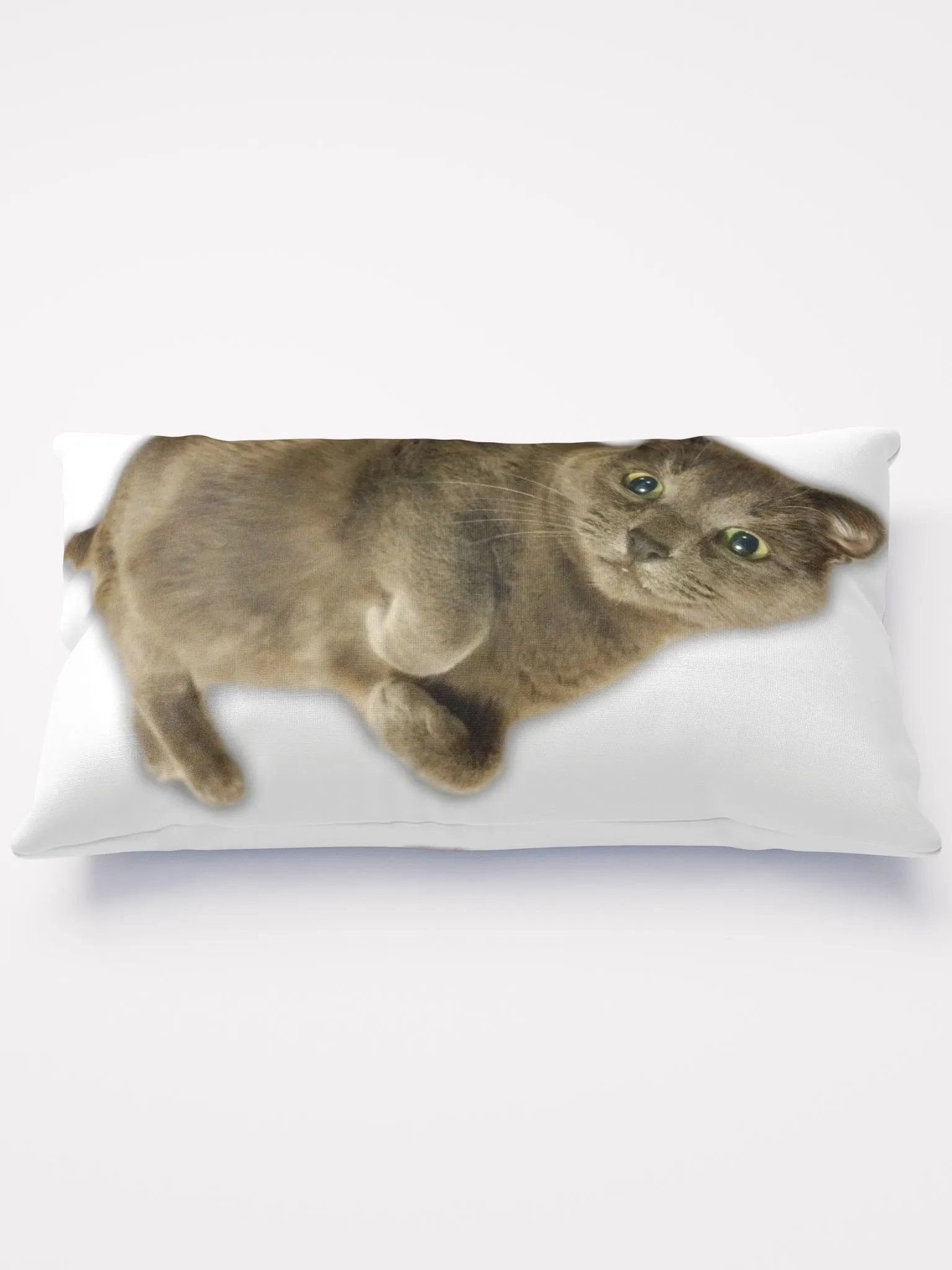 Smokey & Zoey Pillow product image (1)